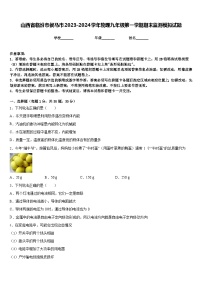 山西省临汾市侯马市2023-2024学年物理九年级第一学期期末监测模拟试题含答案