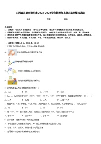 山西省吕梁市汾阳市2023-2024学年物理九上期末监测模拟试题含答案