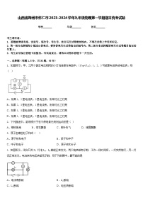 山西省朔州市怀仁市2023-2024学年九年级物理第一学期期末统考试题含答案