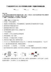 广东省东莞中学2023-2024学年物理九年级第一学期期末检测模拟试题含答案