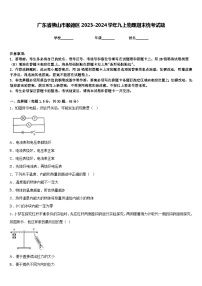 广东省佛山市顺德区2023-2024学年九上物理期末统考试题含答案