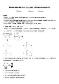 山西省运城市运康中学2023-2024学年九上物理期末达标检测试题含答案