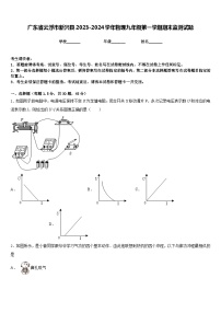 广东省云浮市新兴县2023-2024学年物理九年级第一学期期末监测试题含答案