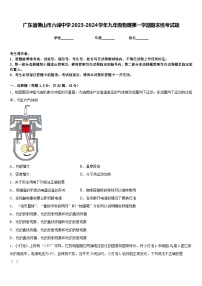 广东省佛山市六峰中学2023-2024学年九年级物理第一学期期末统考试题含答案