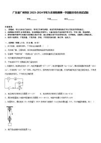 广东省广州各区2023-2024学年九年级物理第一学期期末综合测试试题含答案