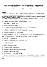 广东省汕头市潮阳区铜盂中学2023-2024学年物理九年级第一学期期末调研试题含答案