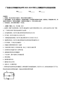 广东省汕头市潮南区峡山中学2023-2024学年九上物理期末学业质量监测试题含答案