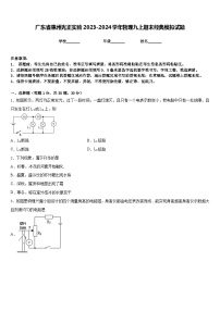 广东省惠州光正实验2023-2024学年物理九上期末经典模拟试题含答案