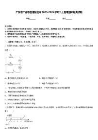 广东省广州市荔湾区统考2023-2024学年九上物理期末经典试题含答案