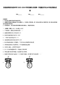 安徽省阜阳市民族中学2023-2024学年物理九年级第一学期期末学业水平测试模拟试题含答案