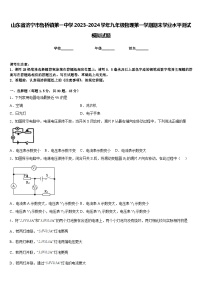 山东省济宁市鲁桥镇第一中学2023-2024学年九年级物理第一学期期末学业水平测试模拟试题含答案