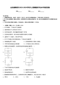 山东省聊城市2023-2024学年九上物理期末学业水平测试试题含答案