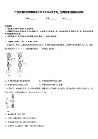 广东省惠州博罗县联考2023-2024学年九上物理期末检测模拟试题含答案