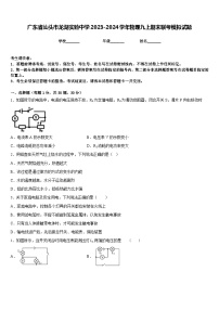 广东省汕头市龙湖实验中学2023-2024学年物理九上期末联考模拟试题含答案