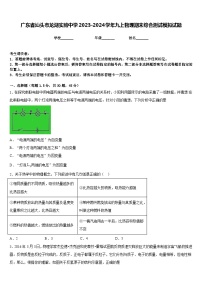 广东省汕头市龙湖实验中学2023-2024学年九上物理期末综合测试模拟试题含答案