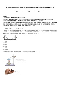 广东省汕头市龙湖区2023-2024学年物理九年级第一学期期末联考模拟试题含答案