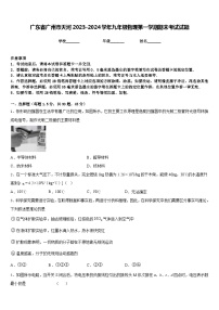 广东省广州市天河2023-2024学年九年级物理第一学期期末考试试题含答案