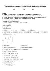 广东省汕尾市海丰县2023-2024学年物理九年级第一学期期末达标检测模拟试题含答案