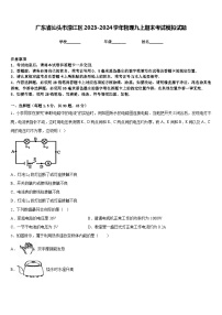 广东省汕头市濠江区2023-2024学年物理九上期末考试模拟试题含答案