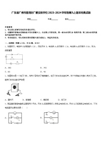 广东省广州市荔湾区广雅实验学校2023-2024学年物理九上期末经典试题含答案