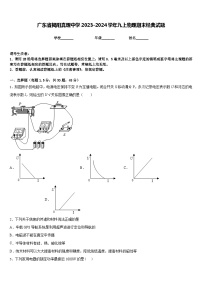 广东省揭阳真理中学2023-2024学年九上物理期末经典试题含答案