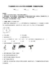 广东省潮州市2023-2024学年九年级物理第一学期期末考试试题含答案