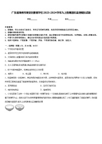 广东省潮州市潮安区雅博学校2023-2024学年九上物理期末监测模拟试题含答案