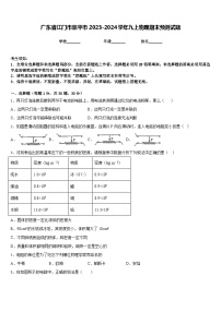 广东省江门市恩平市2023-2024学年九上物理期末预测试题含答案