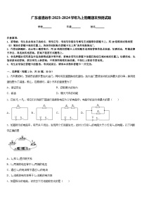 广东省清远市2023-2024学年九上物理期末预测试题含答案