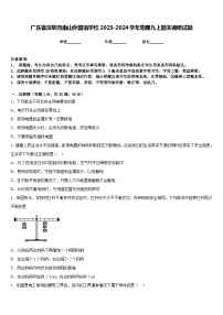 广东省深圳市南山外国语学校2023-2024学年物理九上期末调研试题含答案