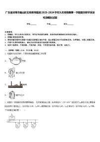 广东省深圳市南山区实验教育集团2023-2024学年九年级物理第一学期期末教学质量检测模拟试题含答案