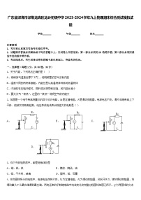 广东省深圳市深圳龙岗区龙岭初级中学2023-2024学年九上物理期末综合测试模拟试题含答案