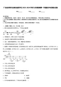 广东省深圳市龙岗区南湾学校2023-2024学年九年级物理第一学期期末考试模拟试题含答案