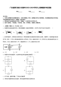 广东省湛江地区六校联考2023-2024学年九上物理期末考试试题含答案