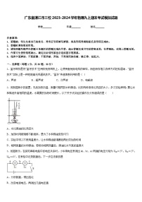 广东省湛江市三校2023-2024学年物理九上期末考试模拟试题含答案