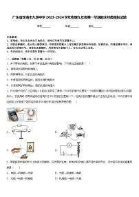 广东省珠海市九洲中学2023-2024学年物理九年级第一学期期末经典模拟试题含答案