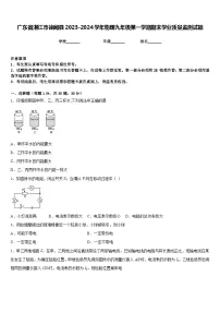 广东省湛江市徐闻县2023-2024学年物理九年级第一学期期末学业质量监测试题含答案