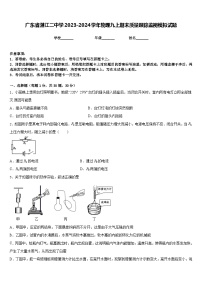 广东省湛江二中学2023-2024学年物理九上期末质量跟踪监视模拟试题含答案