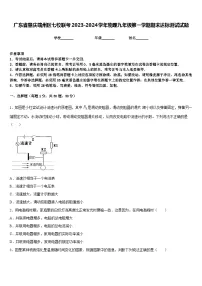 广东省肇庆端州区七校联考2023-2024学年物理九年级第一学期期末达标测试试题含答案