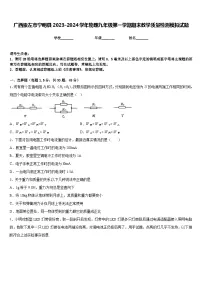 广西崇左市宁明县2023-2024学年物理九年级第一学期期末教学质量检测模拟试题含答案