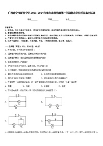 广西南宁市新民中学2023-2024学年九年级物理第一学期期末学业质量监测试题含答案