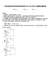 广西壮族自治区河池市罗城仫佬族自治县2023-2024学年九上物理期末调研试题含答案