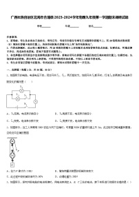 广西壮族自治区北海市合浦县2023-2024学年物理九年级第一学期期末调研试题含答案