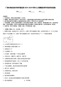 广西壮族自治区钦州市浦北县2023-2024学年九上物理期末教学质量检测试题含答案