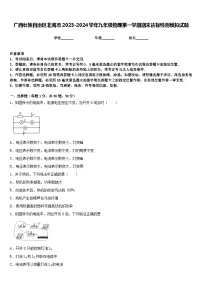 广西壮族自治区北海市2023-2024学年九年级物理第一学期期末达标检测模拟试题含答案