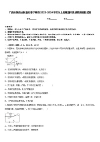 广西壮族自治区崇左市宁明县2023-2024学年九上物理期末质量检测模拟试题含答案