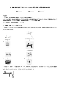 广西壮族自治区玉林市2023-2024学年物理九上期末联考试题含答案