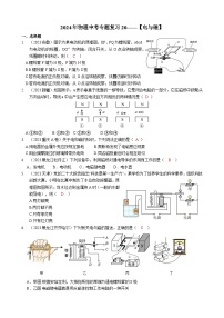 2024年物理中考专题复习20——电与磁