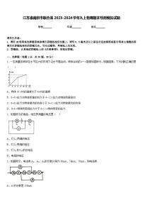 江苏省南京市联合体2023-2024学年九上物理期末检测模拟试题含答案