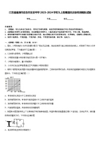 江苏省南通市启东市东安中学2023-2024学年九上物理期末达标检测模拟试题含答案